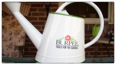 Reference photograph of the Burpee pot